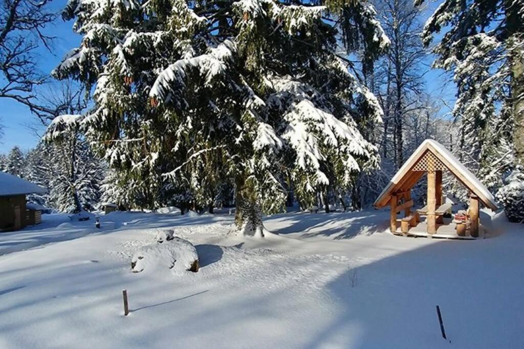 Le Petit Loup, Appartement Neuf Avec Jardin Gerbépal Extérieur photo