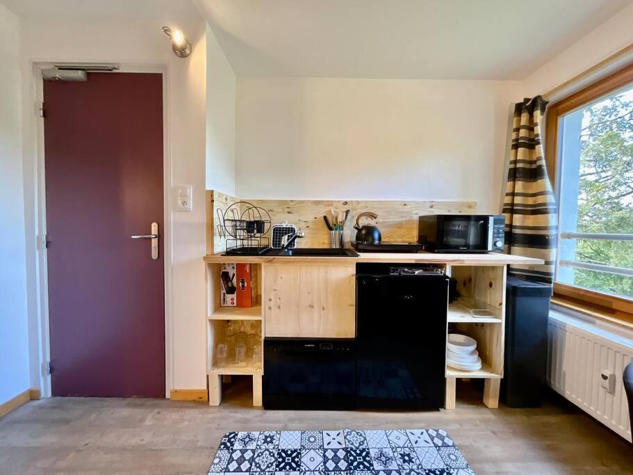 Le Petit Loup, Appartement Neuf Avec Jardin Gerbépal Extérieur photo